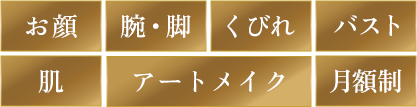お顔、腕・脚、くびれ、バスト、肌、アートメイク、月額制