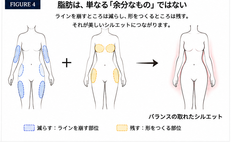 脂肪は、単なる「余分なもの」ではない
